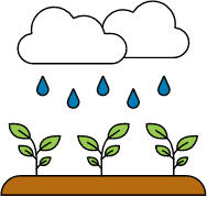 Rain cloud with blue raindrops and green leaves growing from soil.